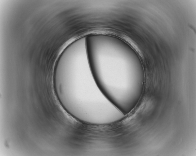 X0000096440853200801241116