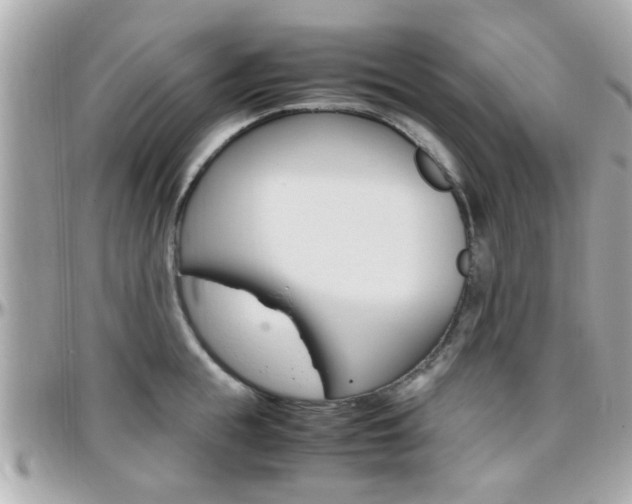 X0000096440855200801241116