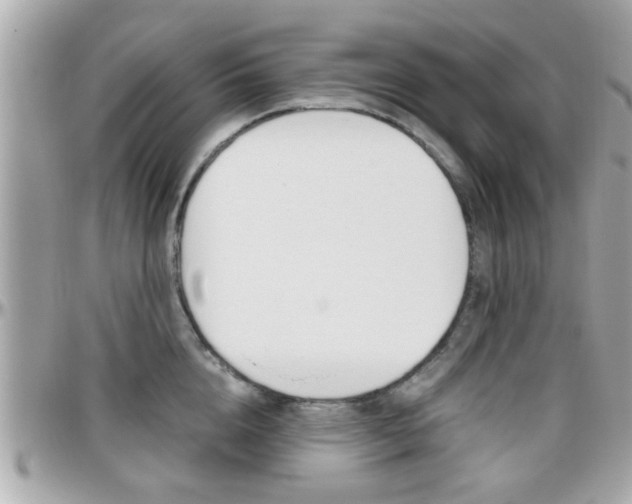 X0000096440856200801241116