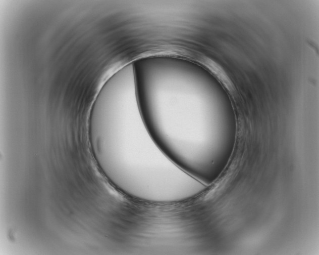 X0000096440858200801241116