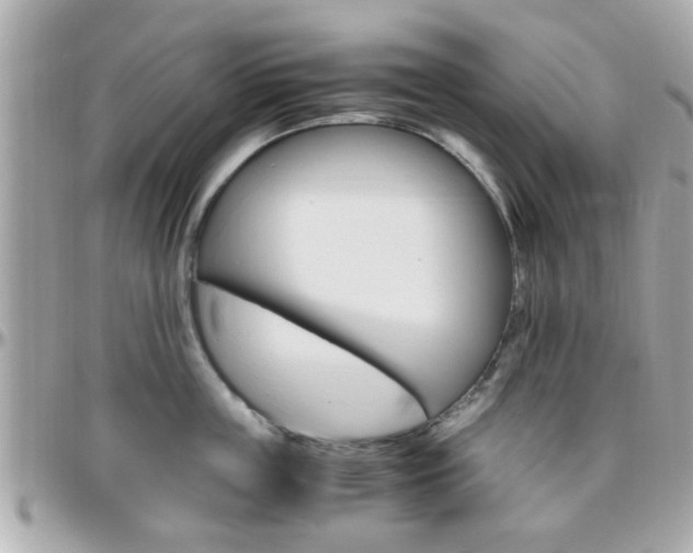 X0000096440859200801241116