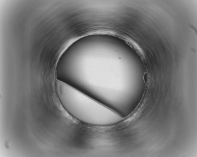 X0000096440860200801241116