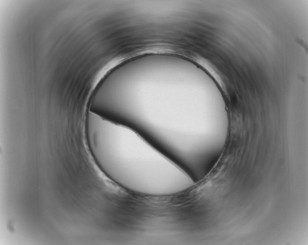 X0000096440861200801241116
