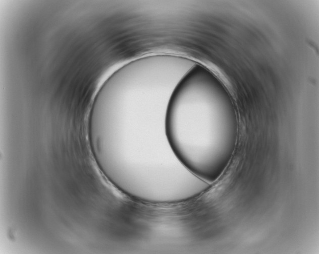 X0000096440862200801241116