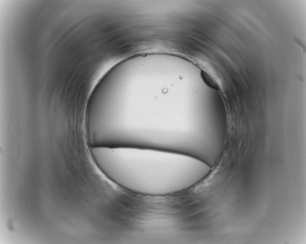 X0000096440863200801241116