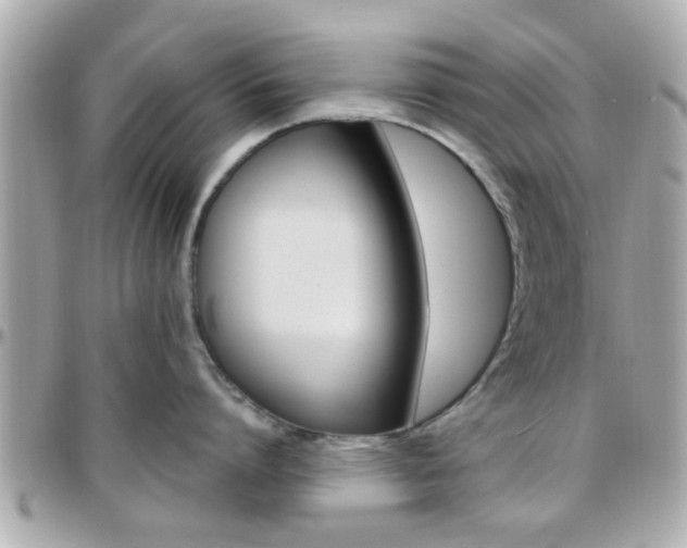 X0000096440864200801241116