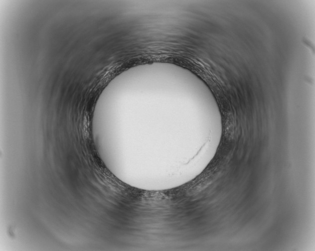 X0000096440866200801241116