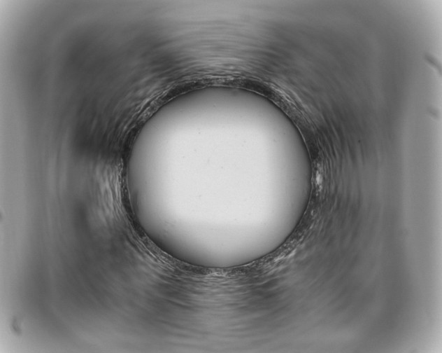 X0000096440867200801241116