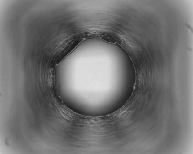 X0000096440868200801241115