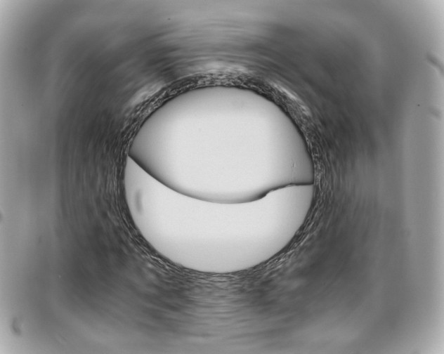 X0000096440869200801241115