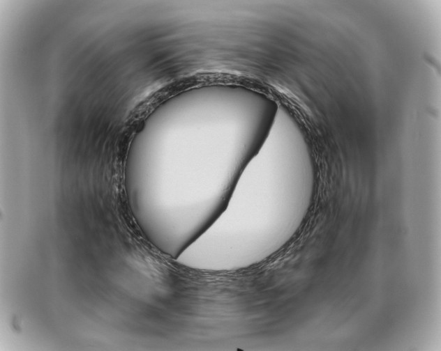 X0000096440870200801241115