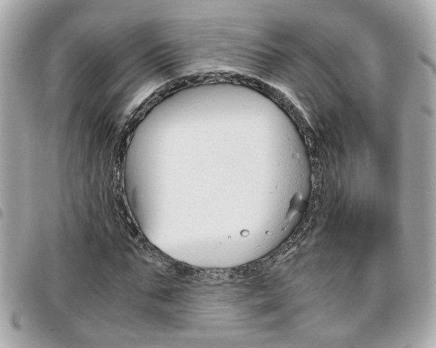 X0000096440871200801241115