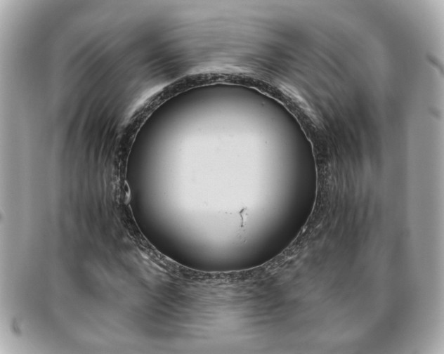 X0000096440872200801241115