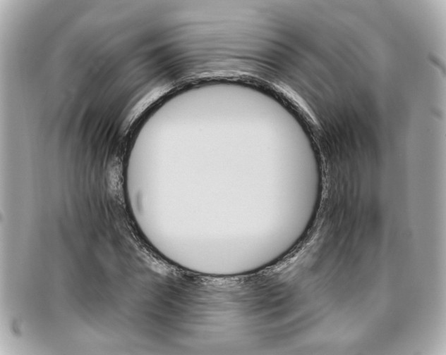 X0000096440874200801241115