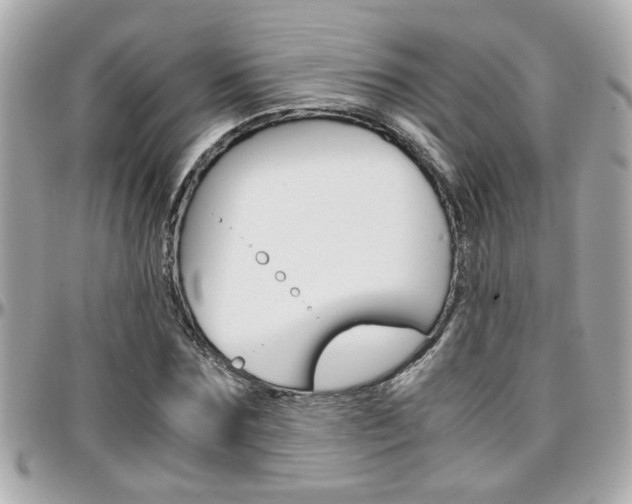 X0000096440875200801241115