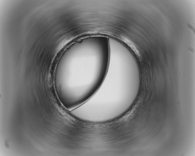 X0000096440876200801241115