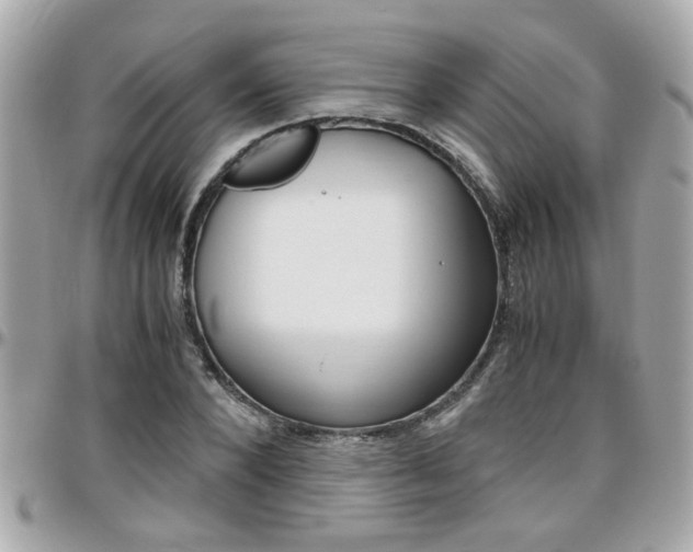 X0000096440880200801241115
