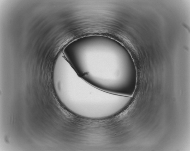 X0000096440881200801241115