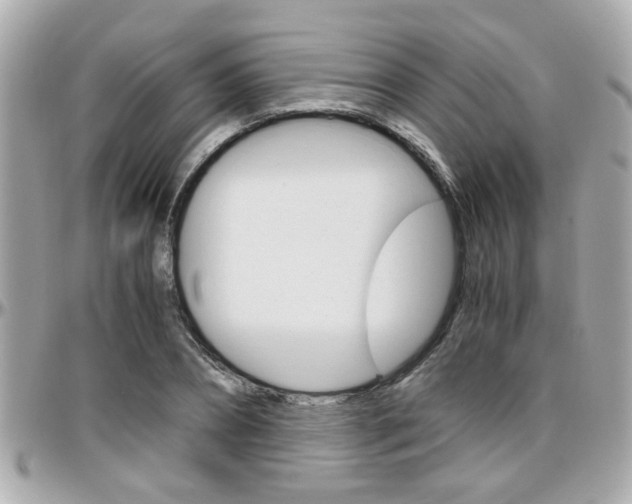 X0000096440882200801241115