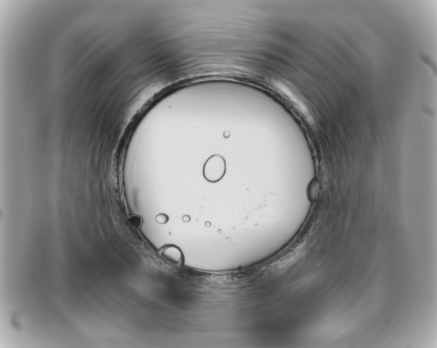 X0000096440883200801241115
