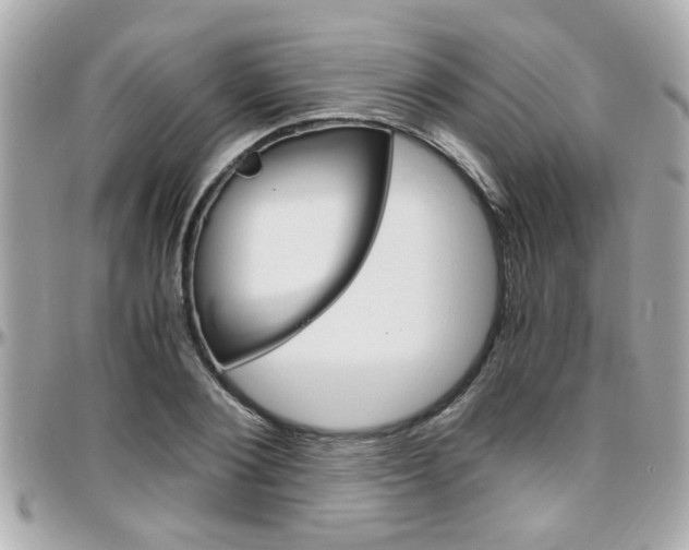 X0000096440884200801241115