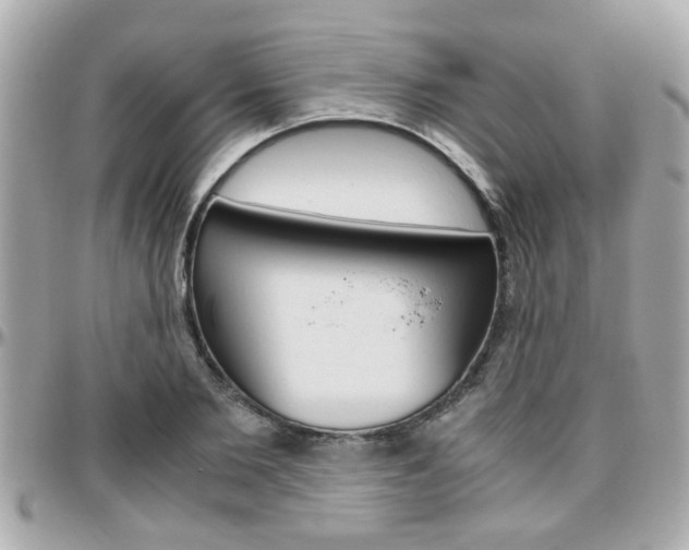X0000096440885200801241115