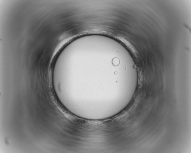 X0000096440886200801241115