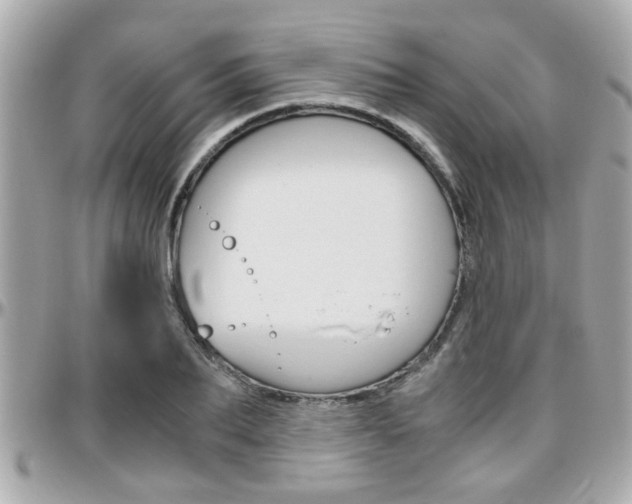 X0000096440887200801241115