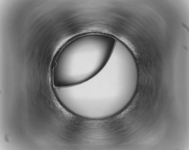 X0000096440888200801241115