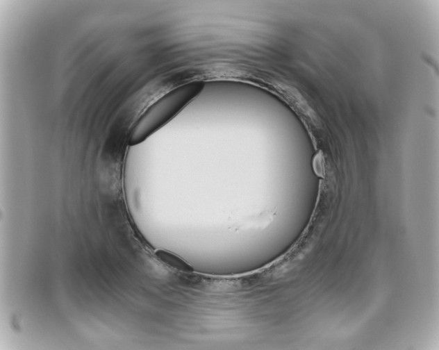 X0000096440889200801241115
