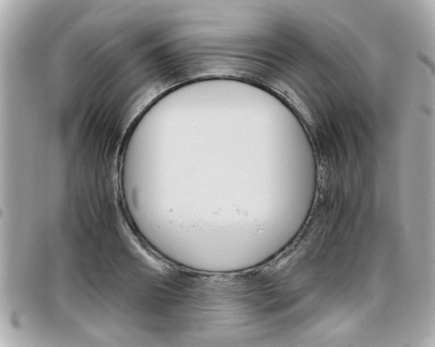 X0000096440890200801241115