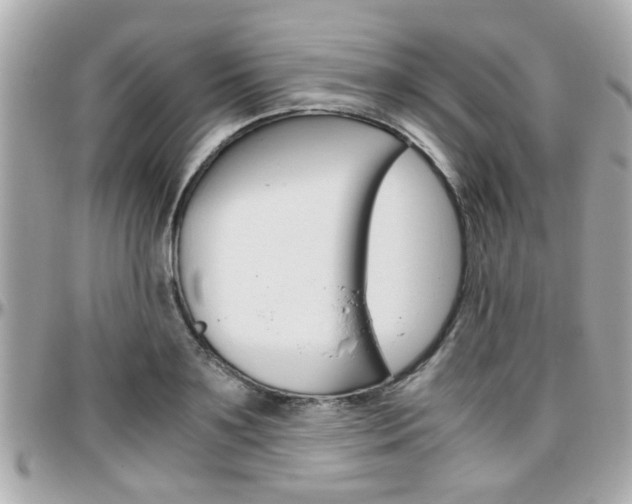 X0000096440891200801241115