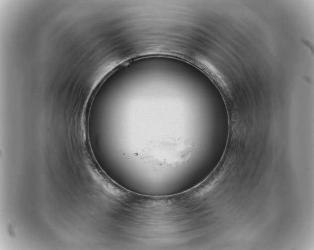 X0000096440892200801241115