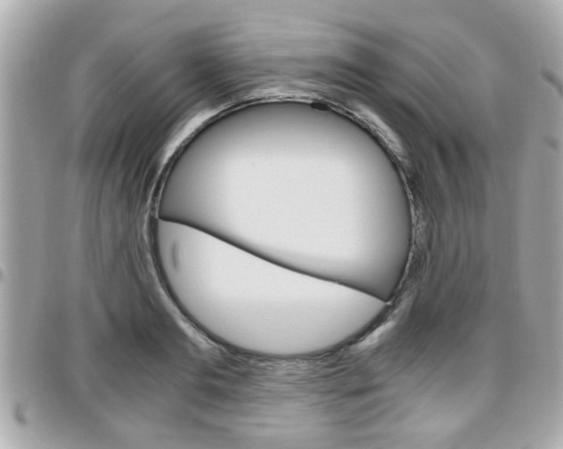 X0000096440893200801241115