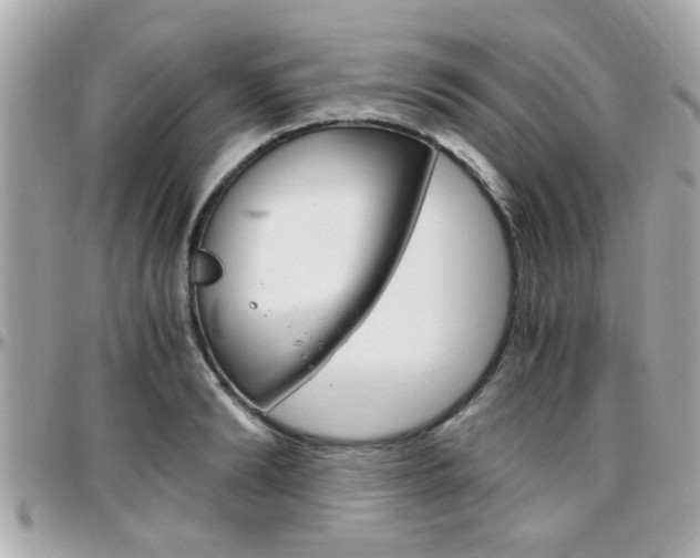 X0000096440894200801241115