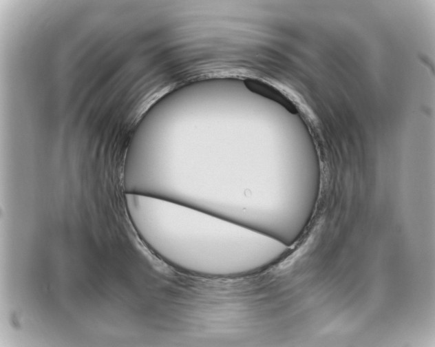 X0000096440897200801241115