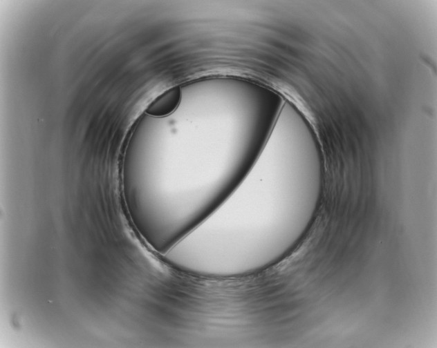 X0000096440898200801241115