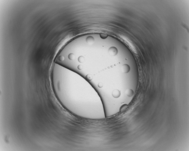 X0000096440899200801241115