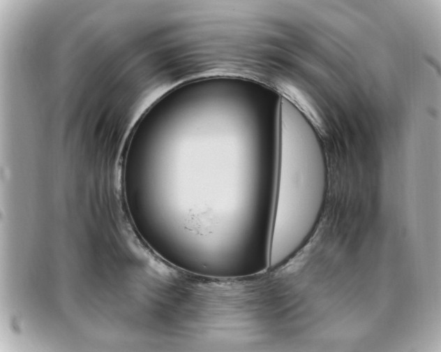 X0000096440900200801241115