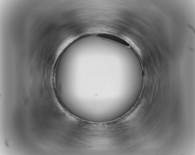 X0000096440901200801241115