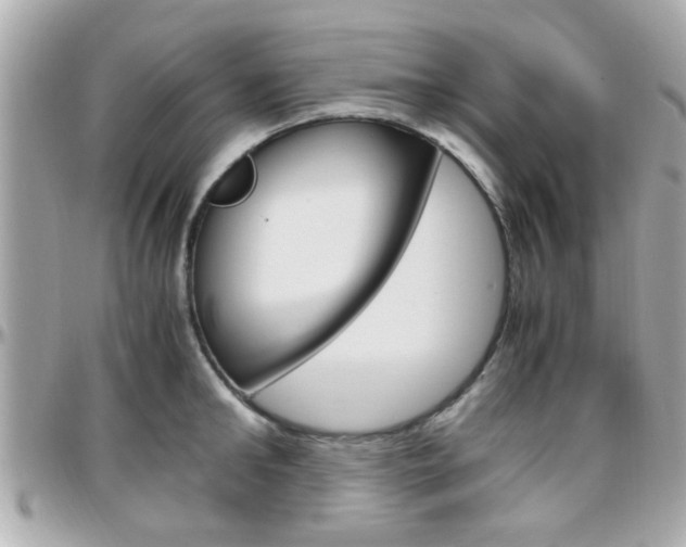 X0000096440902200801241115