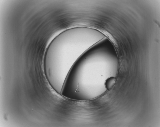 X0000096440904200801241115