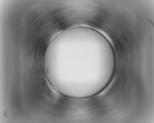 X0000096440905200801241115