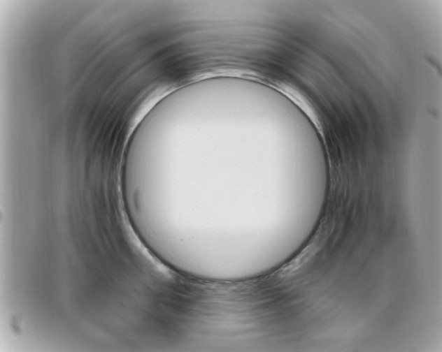 X0000096440906200801241115
