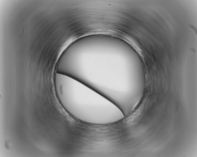 X0000096440907200801241115