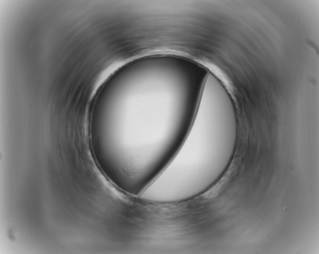 X0000096440910200801241115