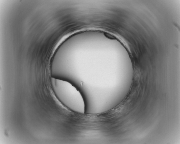 X0000096440911200801241115