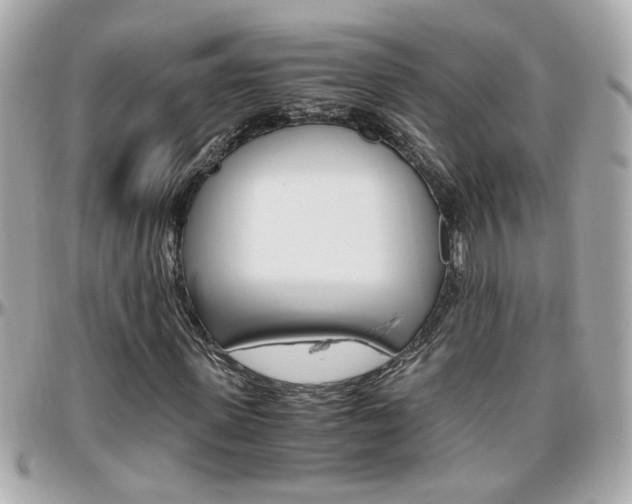 X0000096440915200801241114