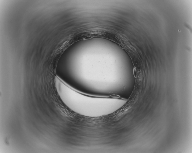 X0000096440916200801241114