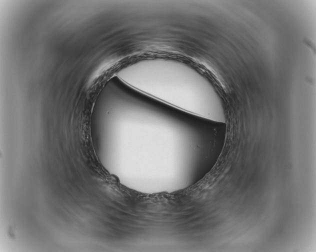 X0000096440919200801241114